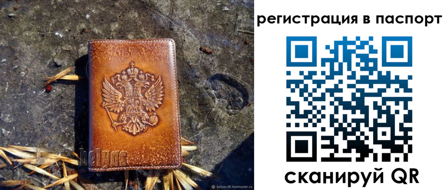 временная регистрация гарантия в Светогорске